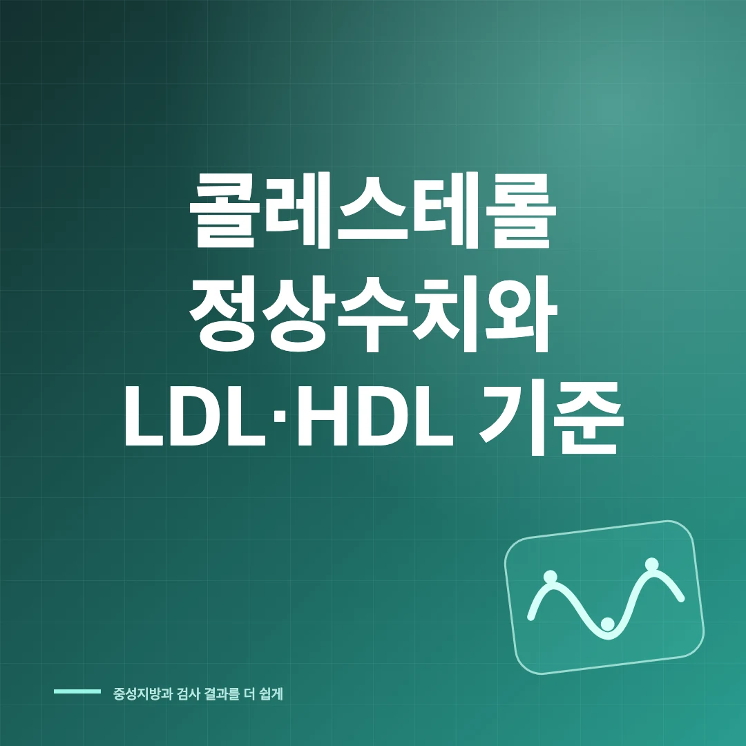 콜레스테롤 정상수치와 LDL HDL 기준 썸네일