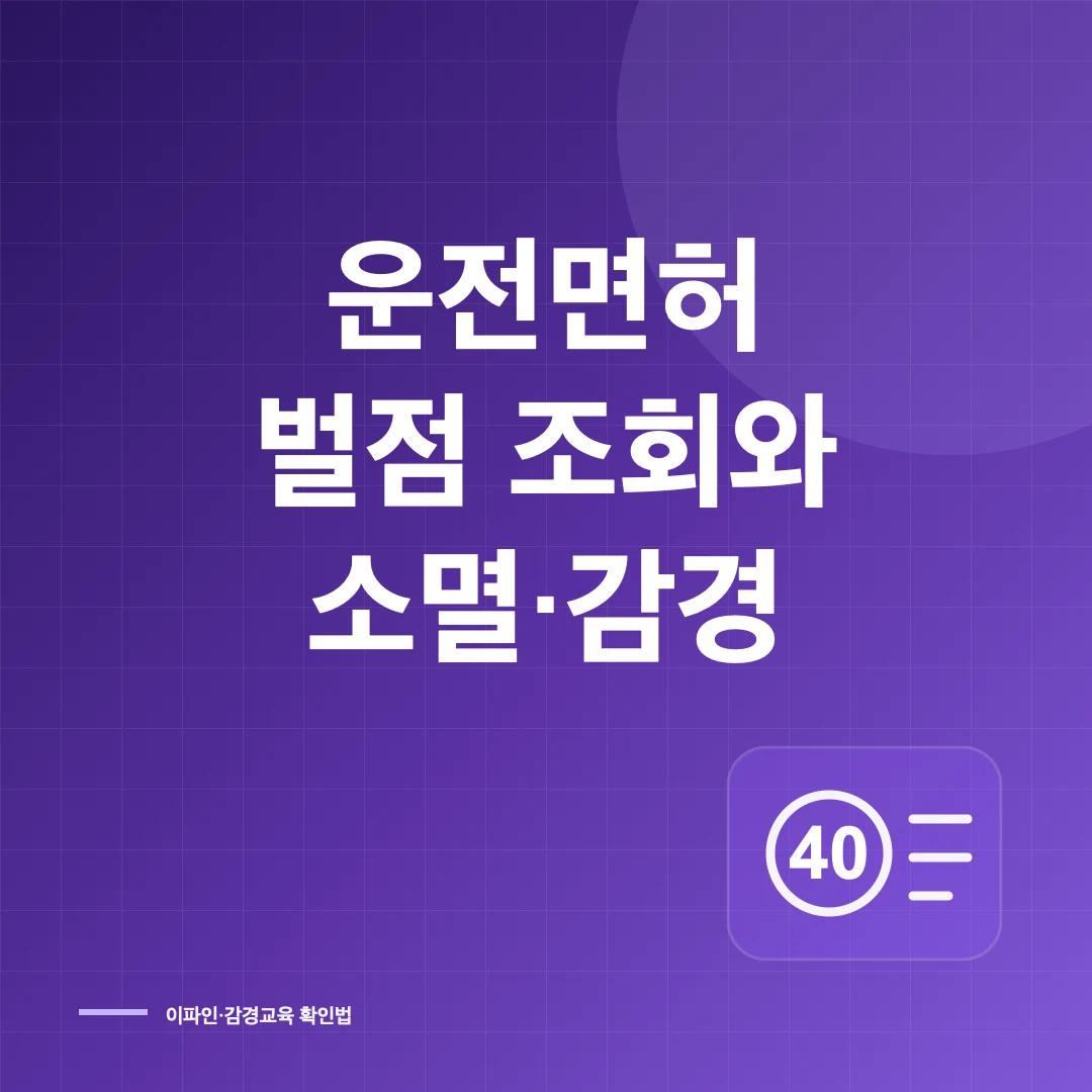 운전면허 벌점 조회 소멸 감경 썸네일